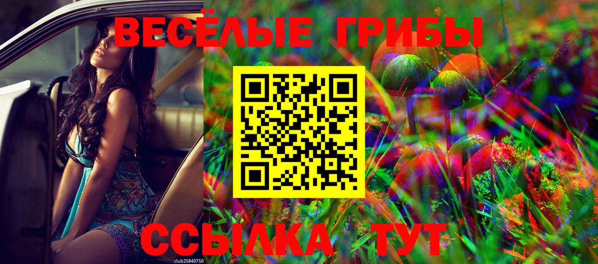 Галлюциногенные грибы Psilocybe  купить  сайты  Усть-Джегута  Вход с VPN 